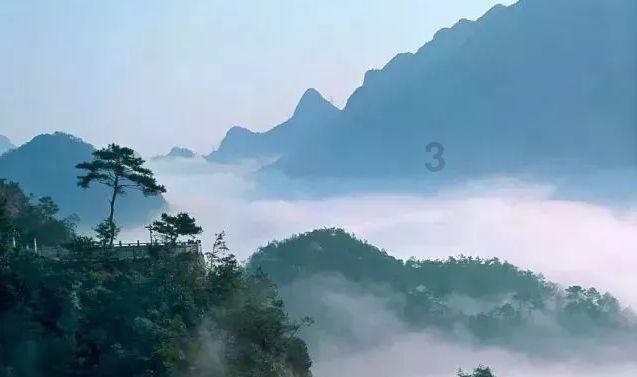 东京迷城